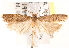  ( - CCDB-22978-C01)  @14 [ ] CreativeCommons - Attribution (2014) CBG Photography Group Centre for Biodiversity Genomics