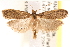  ( - CCDB-22978-C02)  @14 [ ] CreativeCommons - Attribution (2014) CBG Photography Group Centre for Biodiversity Genomics