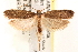  ( - CCDB-22978-C04)  @14 [ ] CreativeCommons - Attribution (2014) CBG Photography Group Centre for Biodiversity Genomics