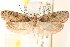  ( - CCDB-22978-C09)  @11 [ ] CreativeCommons - Attribution (2014) CBG Photography Group Centre for Biodiversity Genomics