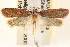 ( - CCDB-22978-D01)  @13 [ ] CreativeCommons - Attribution (2014) CBG Photography Group Centre for Biodiversity Genomics