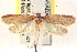  ( - CCDB-22978-D03)  @13 [ ] CreativeCommons - Attribution (2014) CBG Photography Group Centre for Biodiversity Genomics