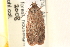  ( - CCDB-22978-D04)  @12 [ ] CreativeCommons - Attribution (2014) CBG Photography Group Centre for Biodiversity Genomics