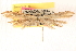  ( - CCDB-22978-E05)  @11 [ ] CreativeCommons - Attribution (2014) CBG Photography Group Centre for Biodiversity Genomics