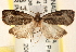  ( - CCDB-22978-H01)  @13 [ ] CreativeCommons - Attribution (2014) CBG Photography Group Centre for Biodiversity Genomics