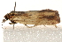  ( - CCDB-22978-H07)  @13 [ ] CreativeCommons - Attribution (2014) CBG Photography Group Centre for Biodiversity Genomics