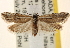  ( - CCDB-22979-A07)  @12 [ ] CreativeCommons - Attribution (2014) CBG Photography Group Centre for Biodiversity Genomics