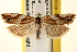  ( - CCDB-22979-A08)  @14 [ ] CreativeCommons - Attribution (2014) CBG Photography Group Centre for Biodiversity Genomics