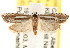  ( - CCDB-22979-B05)  @14 [ ] CreativeCommons - Attribution (2014) CBG Photography Group Centre for Biodiversity Genomics