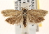  ( - CCDB-22979-D01)  @13 [ ] CreativeCommons - Attribution (2014) CBG Photography Group Centre for Biodiversity Genomics