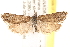  ( - CCDB-22980-G11)  @14 [ ] CreativeCommons - Attribution (2014) CBG Photography Group Centre for Biodiversity Genomics