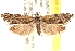  ( - CCDB-22980-H01)  @14 [ ] CreativeCommons - Attribution (2014) CBG Photography Group Centre for Biodiversity Genomics