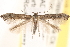  ( - CCDB-23267-B07)  @14 [ ] CreativeCommons - Attribution (2014) CBG Photography Group Centre for Biodiversity Genomics