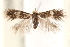  ( - CCDB-23267-E12)  @14 [ ] CreativeCommons - Attribution (2014) CBG Photography Group Centre for Biodiversity Genomics