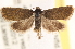  ( - CCDB-23267-G12)  @13 [ ] CreativeCommons - Attribution (2014) CBG Photography Group Centre for Biodiversity Genomics