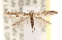  ( - CCDB-23267-H03)  @14 [ ] CreativeCommons - Attribution (2014) CBG Photography Group Centre for Biodiversity Genomics