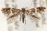  ( - CCDB-23267-H04)  @13 [ ] CreativeCommons - Attribution (2014) CBG Photography Group Centre for Biodiversity Genomics