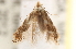  ( - CCDB-23267-H05)  @14 [ ] CreativeCommons - Attribution (2014) CBG Photography Group Centre for Biodiversity Genomics