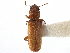  ( - CCDB-28533-H09)  @11 [ ] CreativeCommons - Attribution (2015) CBG Photography Group Centre for Biodiversity Genomics