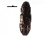 ( - CCDB-28534-C10)  @11 [ ] CreativeCommons - Attribution (2015) CBG Photography Group Centre for Biodiversity Genomics
