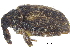  ( - CCDB-28535-E09)  @11 [ ] CreativeCommons - Attribution (2015) CBG Photography Group Centre for Biodiversity Genomics