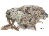  ( - CCDB-28535-G09)  @11 [ ] CreativeCommons - Attribution (2015) CBG Photography Group Centre for Biodiversity Genomics