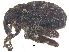  ( - CCDB-28535-H02)  @11 [ ] CreativeCommons - Attribution (2015) CBG Photography Group Centre for Biodiversity Genomics