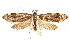  ( - CCDB-28538-A05)  @13 [ ] CreativeCommons - Attribution (2015) CBG Photography Group Centre for Biodiversity Genomics