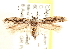  ( - CCDB-28538-B03)  @13 [ ] CreativeCommons - Attribution (2015) CBG Photography Group Centre for Biodiversity Genomics