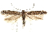  ( - CCDB-28538-B07)  @13 [ ] CreativeCommons - Attribution (2015) CBG Photography Group Centre for Biodiversity Genomics