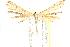  ( - CCDB-28538-H04)  @14 [ ] CreativeCommons - Attribution (2015) CBG Photography Group Centre for Biodiversity Genomics