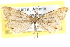  ( - CCDB-28539-E10)  @13 [ ] CreativeCommons - Attribution (2015) CBG Photography Group Centre for Biodiversity Genomics