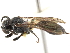  ( - CCDB-28540-C03)  @11 [ ] CreativeCommons - Attribution (2015) CBG Photography Group Centre for Biodiversity Genomics