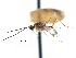  ( - CCDB-28540-G07)  @11 [ ] CreativeCommons - Attribution (2015) CBG Photography Group Centre for Biodiversity Genomics