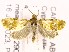  ( - CCDB-48252-G10)  @11 [ ] CC-BY-NC-SA (2024) Gregory R. Pohl Natural Resources Canada