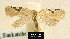  ( - NoA-08-100)  @13 [ ] Unspecified (default): All Rights Reserved  Unspecified Unspecified