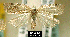  ( - NoA-08-101)  @13 [ ] Unspecified (default): All Rights Reserved  Unspecified Unspecified