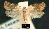  ( - NoA-08-102)  @13 [ ] Unspecified (default): All Rights Reserved  Unspecified Unspecified