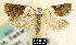  ( - NoA-08-103)  @13 [ ] Unspecified (default): All Rights Reserved  Unspecified Unspecified