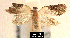  ( - NoA-08-104)  @13 [ ] Unspecified (default): All Rights Reserved  Unspecified Unspecified