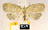  ( - NoA-08-112)  @13 [ ] Unspecified (default): All Rights Reserved  Unspecified Unspecified