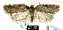  ( - NoA-08-116)  @13 [ ] Unspecified (default): All Rights Reserved  Unspecified Unspecified
