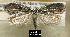  ( - NoA-08-121)  @13 [ ] Unspecified (default): All Rights Reserved  Unspecified Unspecified