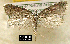  ( - NoA-08-123)  @13 [ ] Unspecified (default): All Rights Reserved  Unspecified Unspecified