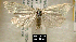  ( - NoA-08-165)  @13 [ ] Unspecified (default): All Rights Reserved  Unspecified Unspecified