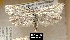  ( - NoA-08-166)  @13 [ ] Unspecified (default): All Rights Reserved  Unspecified Unspecified