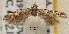  ( - NoA-08-188)  @14 [ ] Unspecified (default): All Rights Reserved  Unspecified Unspecified