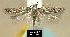  ( - NoA-08-217)  @13 [ ] Unspecified (default): All Rights Reserved  Unspecified Unspecified