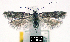  ( - NoA-08-220)  @13 [ ] Unspecified (default): All Rights Reserved  Unspecified Unspecified