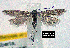  ( - NoA-08-221)  @13 [ ] Unspecified (default): All Rights Reserved  Unspecified Unspecified
